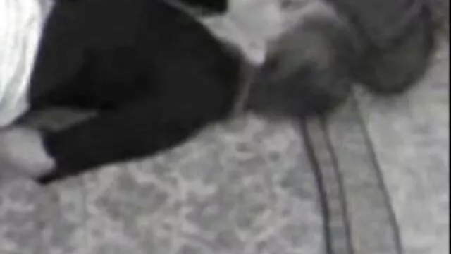 The doctor recorded his youporn cuisine own nurse