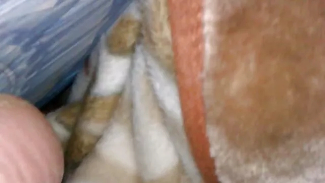 The depraved young lady agreed to porno au cuisine fuck with a crowd of men with all holes